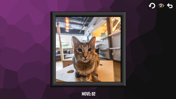 Скриншот из Intelligence: Cats