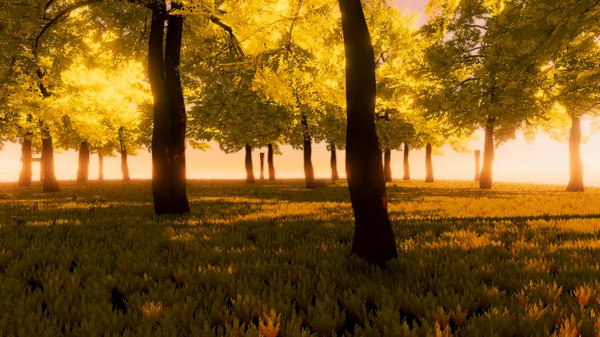 Evemnesisfor windows and Linux 1