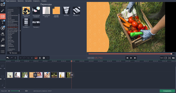 Скриншот из Movavi Video Editor Plus - Eco Set