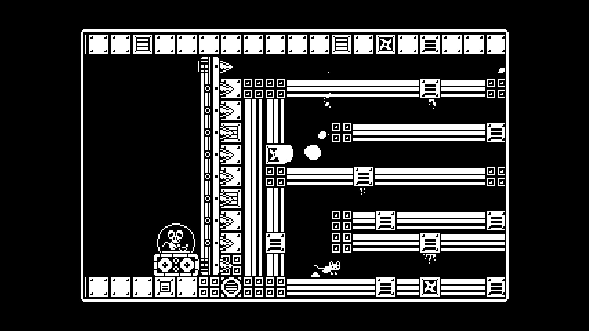 Gato_run_store