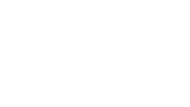 Animus - Stand Alone Logo