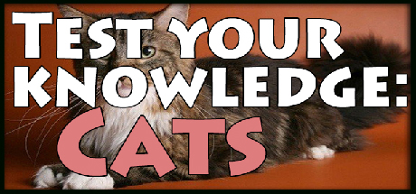 Купить Test your knowledge: Cats