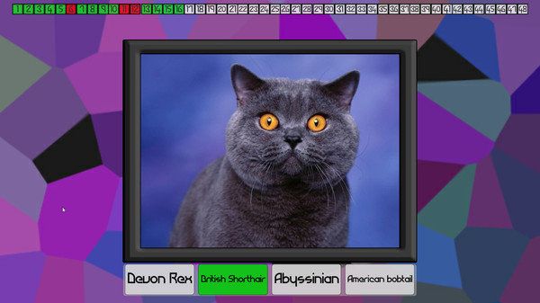 Test your knowledge: Catsfor windows and Linux 1