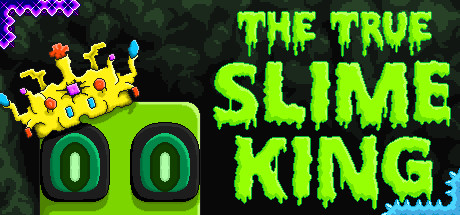The True Slime King cover art