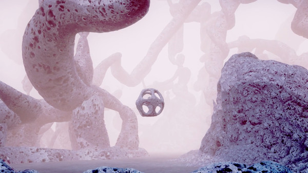 Colory VRfor windows and Linux 1