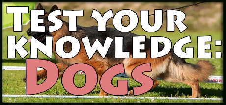 Test your knowledge: Dogs