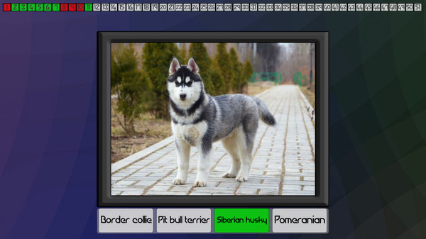 Test your knowledge: Dogs game for Linux 1