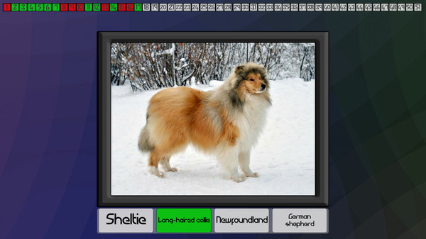 Скриншот из Test your knowledge: Dogs