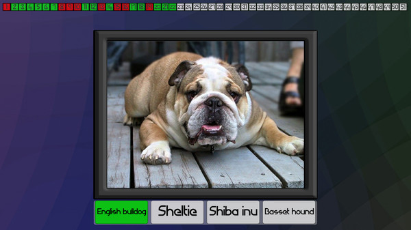 Test your knowledge: Dogs for linux