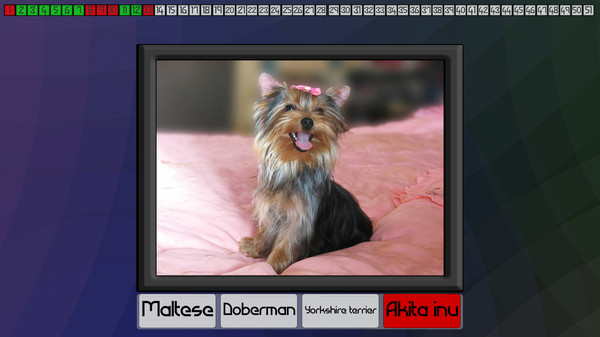 Test your knowledge: Dogs game for windows Pc 1