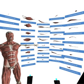 VR Anatomy screenshot