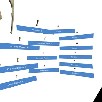 VR Anatomy game for windows Pc 1