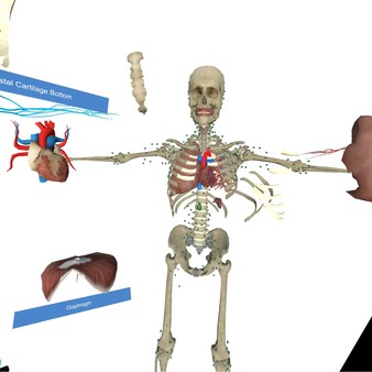 VR Anatomy minimum requirements