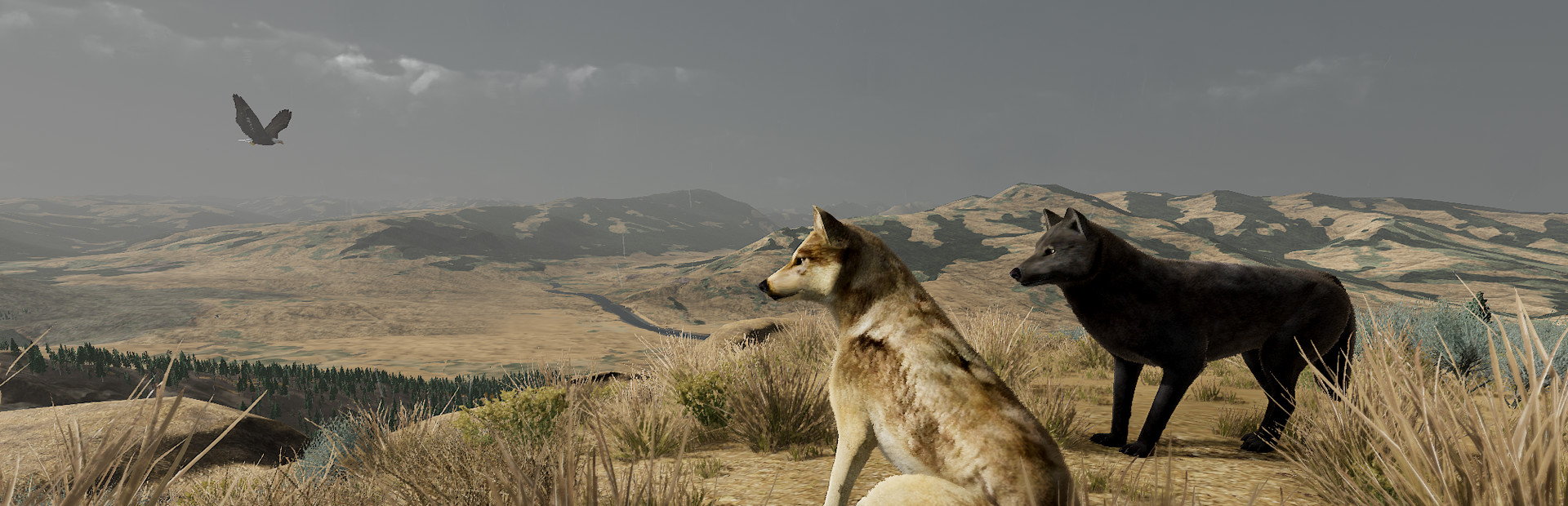 WolfQuest: Anniversary Edition Hero Image