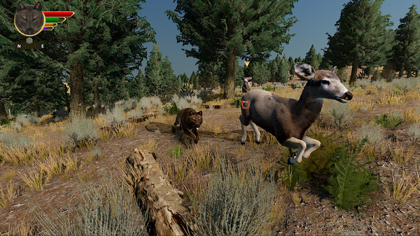 Скриншот из WolfQuest: Anniversary Edition