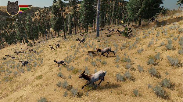 Скриншот из WolfQuest: Anniversary Edition