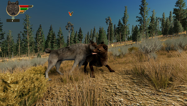 Скриншот из WolfQuest: Anniversary Edition