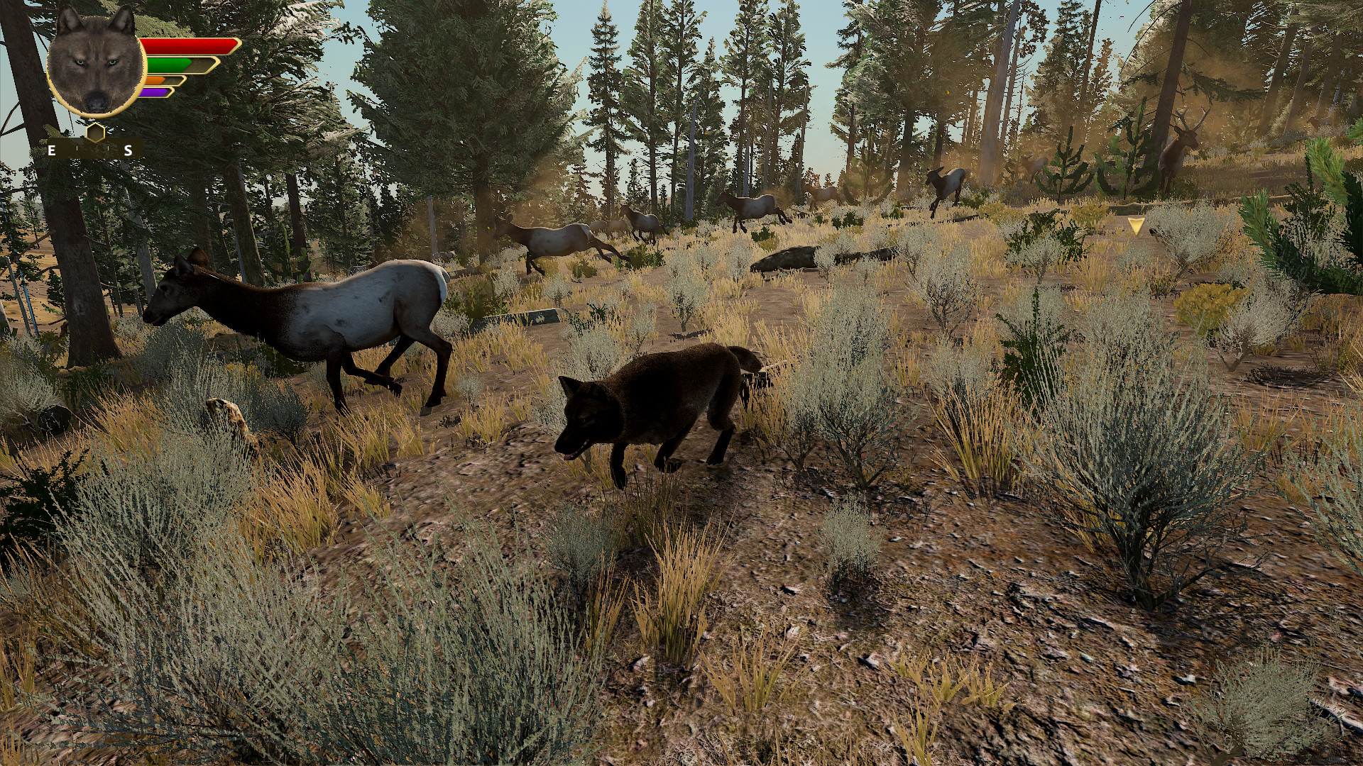 Wolfquest Reviews Wolfquest Reviews