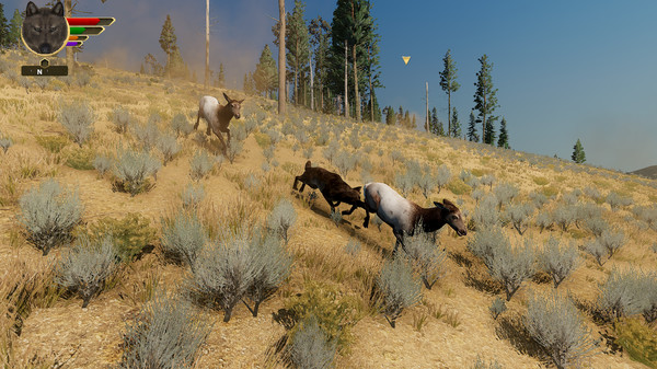 Скриншот из WolfQuest: Anniversary Edition