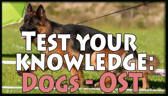 Скриншот из Test your knowledge: Dogs - OST