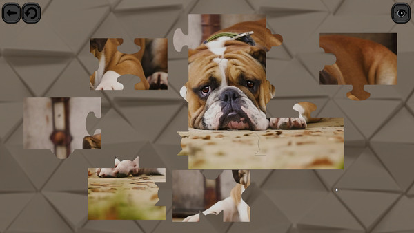 Скриншот из Puzzles for smart: Dogs