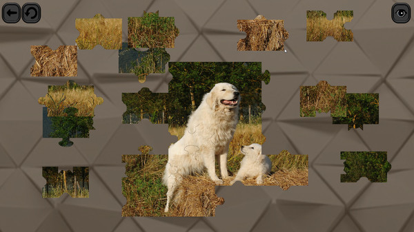 Скриншот из Puzzles for smart: Dogs