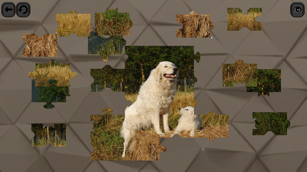 Puzzles for smart: Dogs
