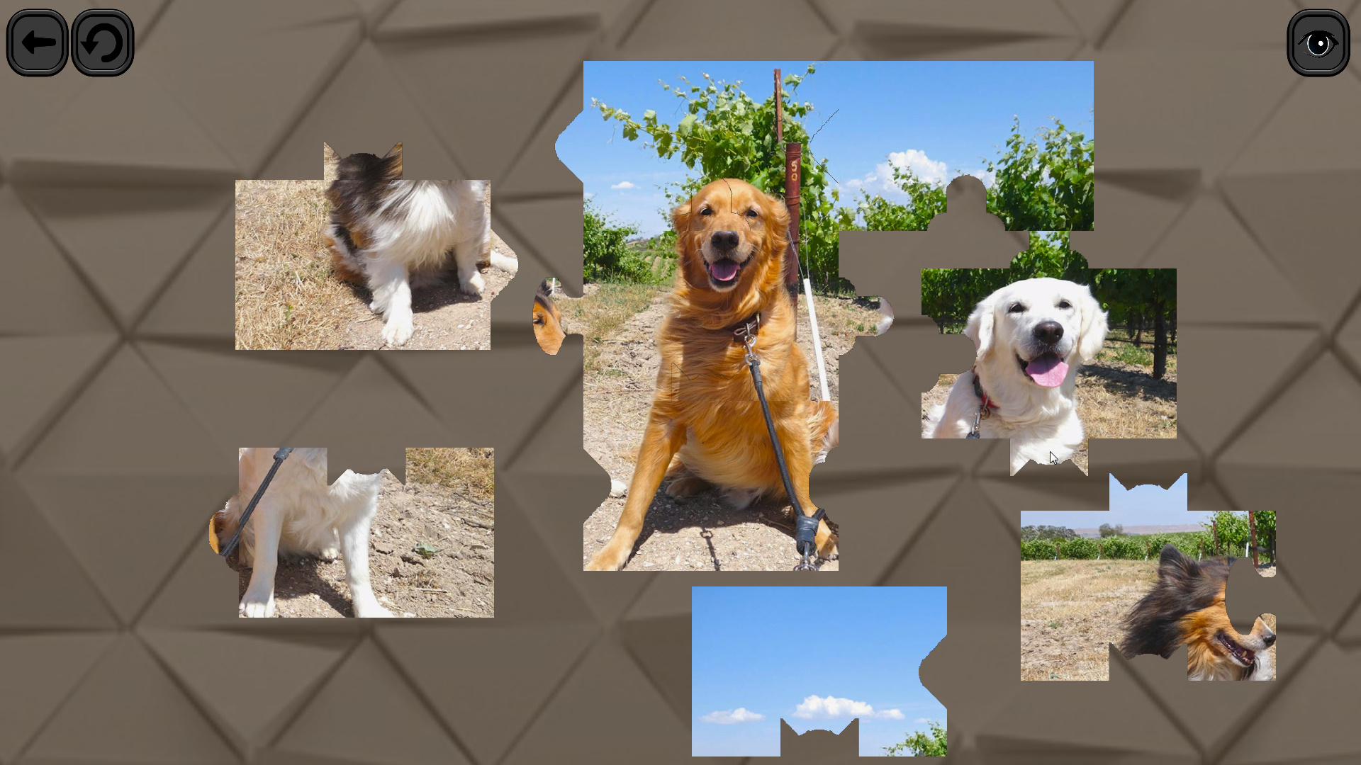 puzzles for smart dogs