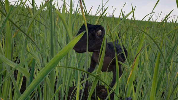 Raptor: Cretaceous Island for linux