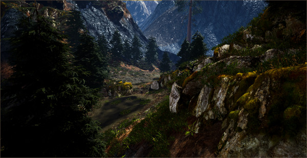 Run game for Linux 1