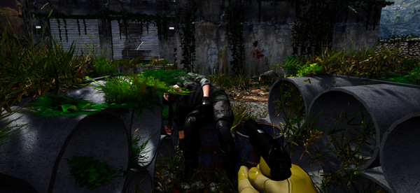 Runfor windows and Linux 1