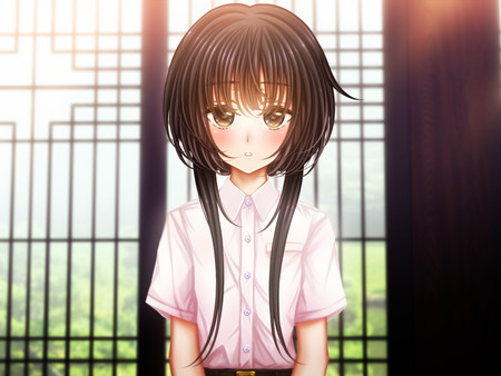 怪奇幻想夢物語 怪獣綺譚 朧十夜 for linux