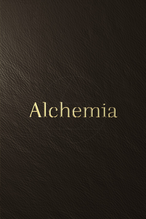 Alchemia for steam