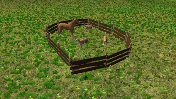 Скриншот из Trials of Wilderness
