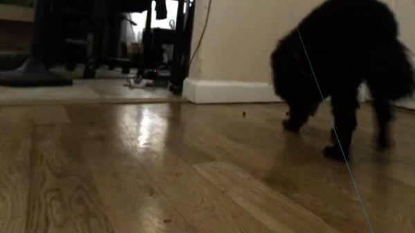 GonzoVRfor windows and Linux 1