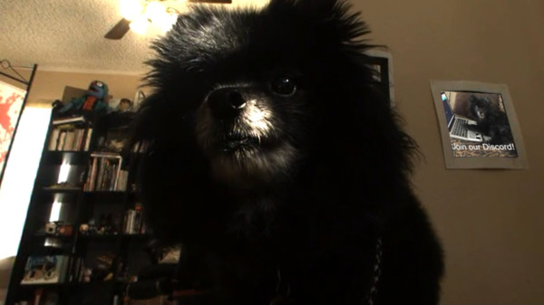 GonzoVR game for windows Pc 1