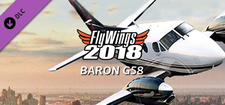 FlyWings 2018 - Baron G58 cover art