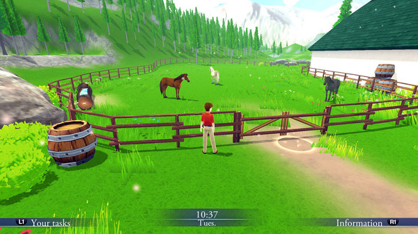 Скриншот из My Riding Stables: Your Horse breeding