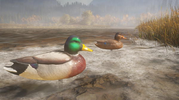 KHAiHOM.com - theHunter™: Call of the Wild - Duck and Cover Pack