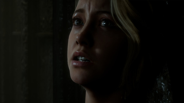 The Dark Pictures Anthology - Man of Medanfor windows and Linux 1