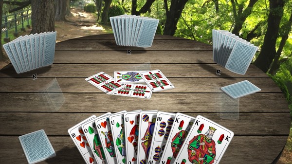 Classic Card Games 3D game for Linux 1