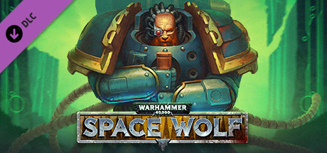 Warhammer 40,000: Space Wolf - Wolf Priest cover art