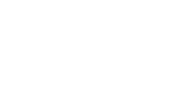 OCTOPTICOM Logo
