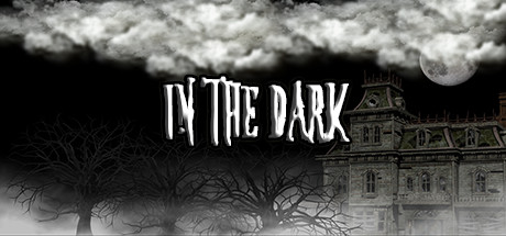 In The Dark cover art