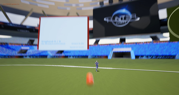 VR Cricket screenshot