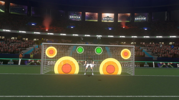 Virtual Soccer Zone recommended requirements