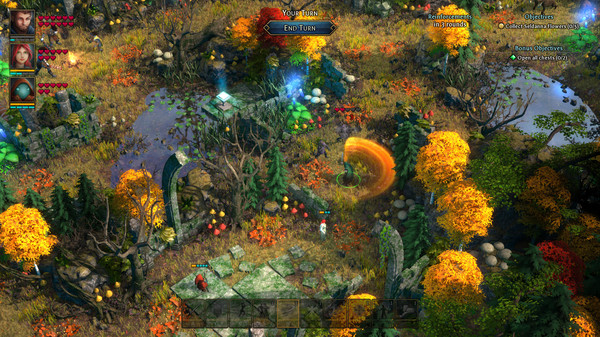 Can i run Druidstone: The Secret of the Menhir Forest