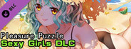 Pleasure Puzzle:Sexy Girls DLC