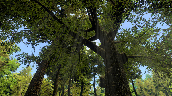 Go Outside Simulator for linux