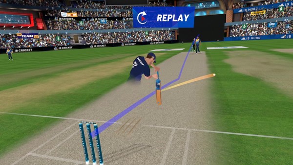 Скриншот из iB Cricket